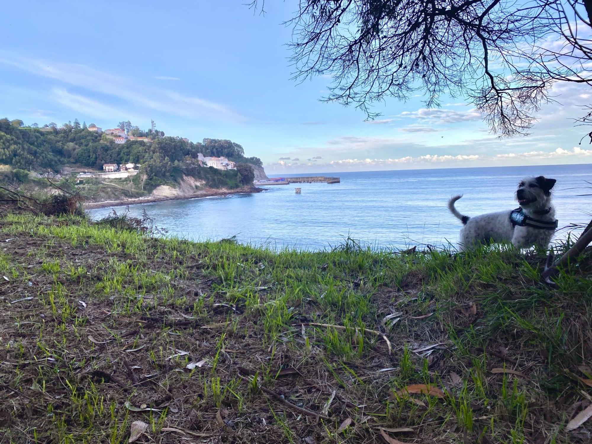El Apartamentin De Lastres Eksteriør billede